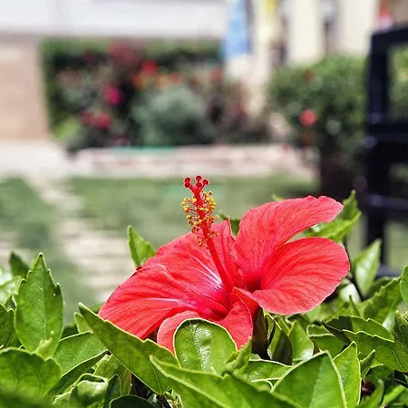 Village Apartamento Charaki